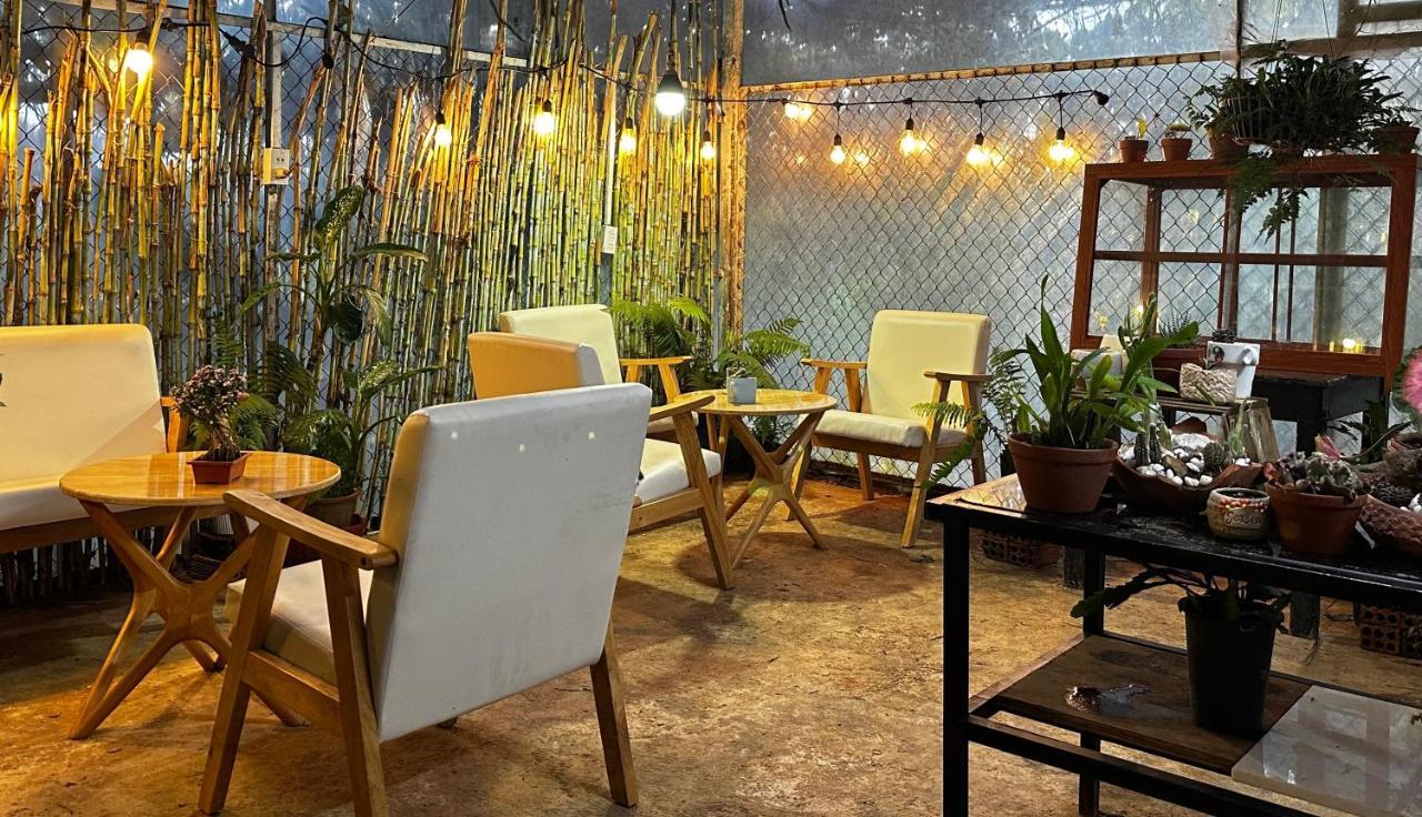 Bed and Breakfast Vuon Cua Me Da Lat Zewnętrze zdjęcie